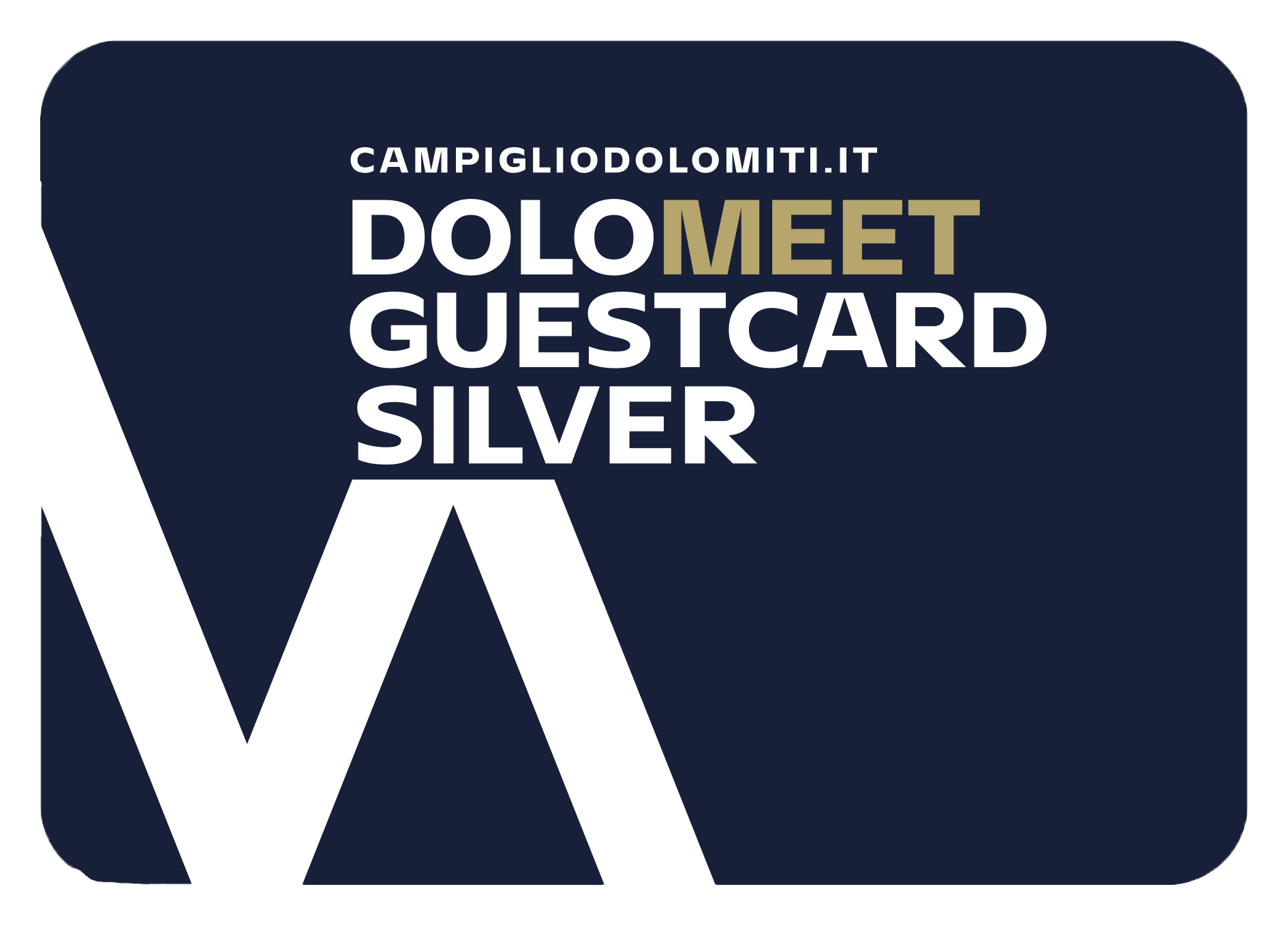 Dolomeet_Guest_Card_Silver.png