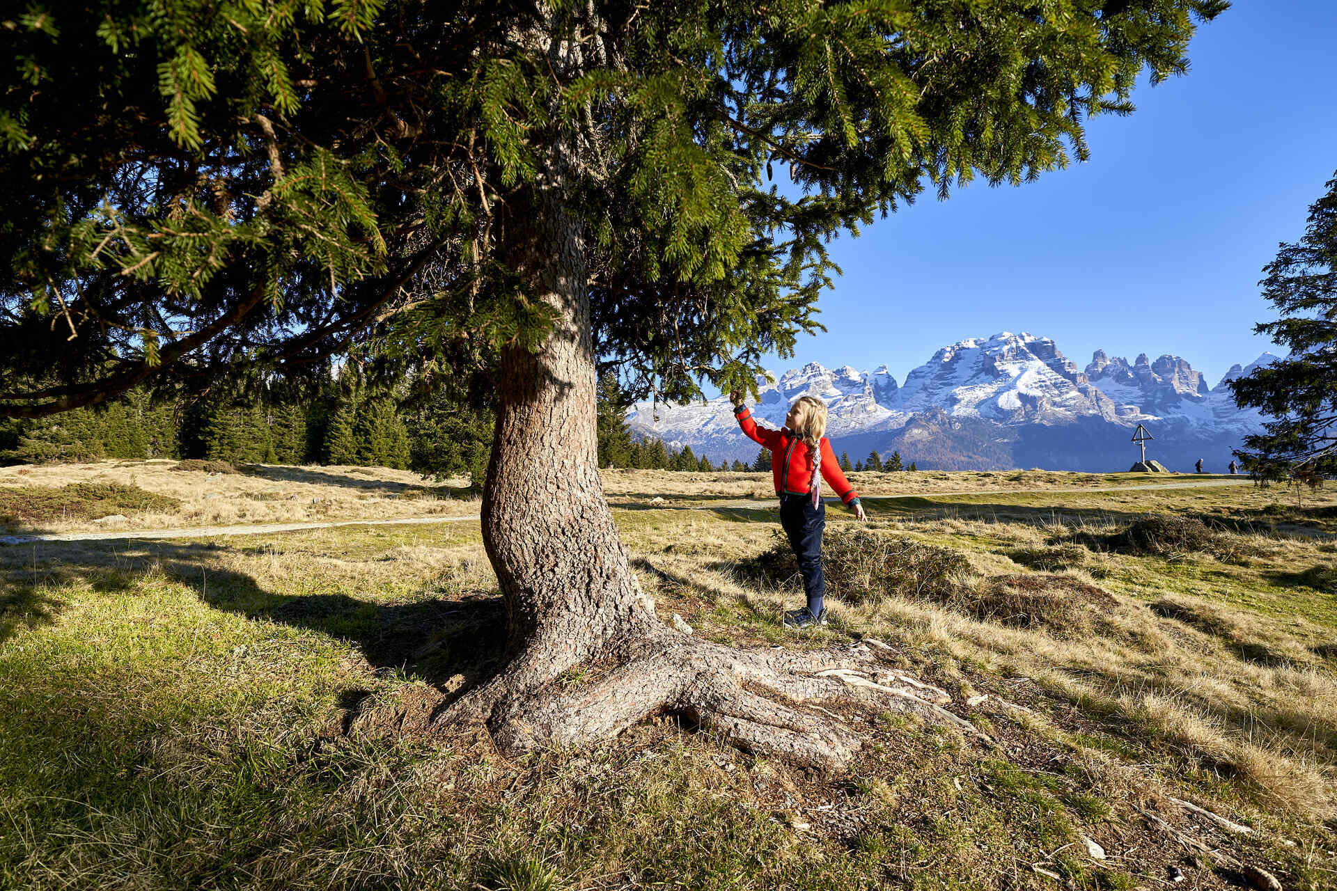 Inauguration of the Junior Park in Madonna di Campiglio