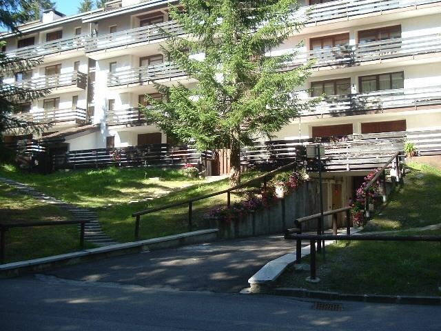 Images Trn 1 Dd625d50 Ef42 4f4f A84d D9bf58c01703 99 Image