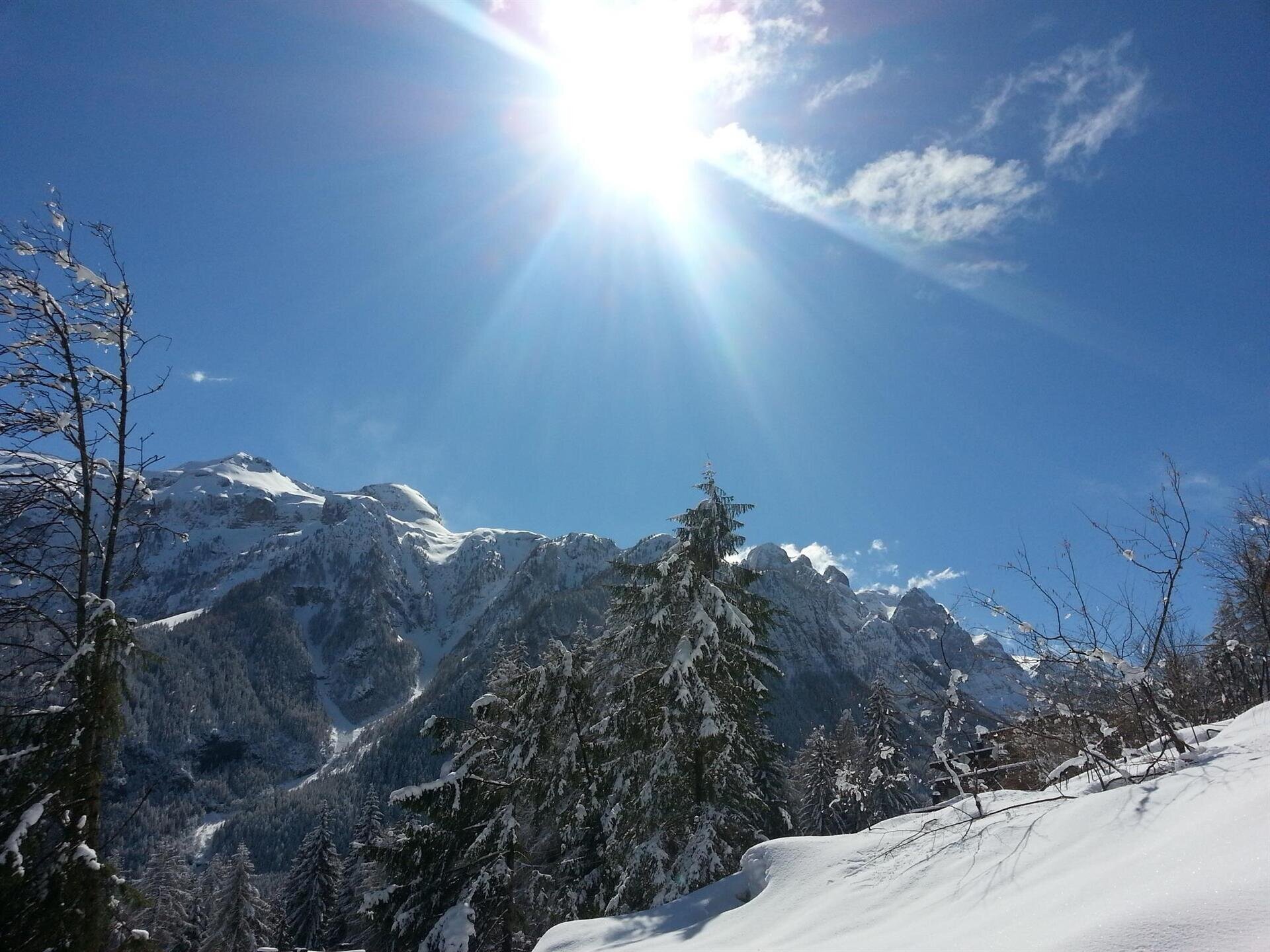 Agenzia Immobiliare ALPENSOLE