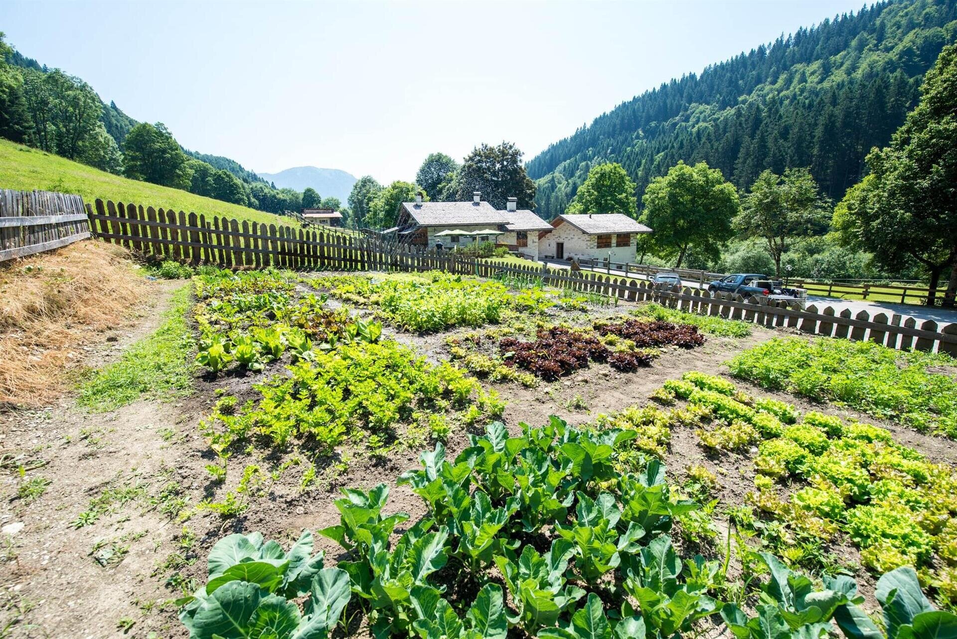 Baite di Pra Organic