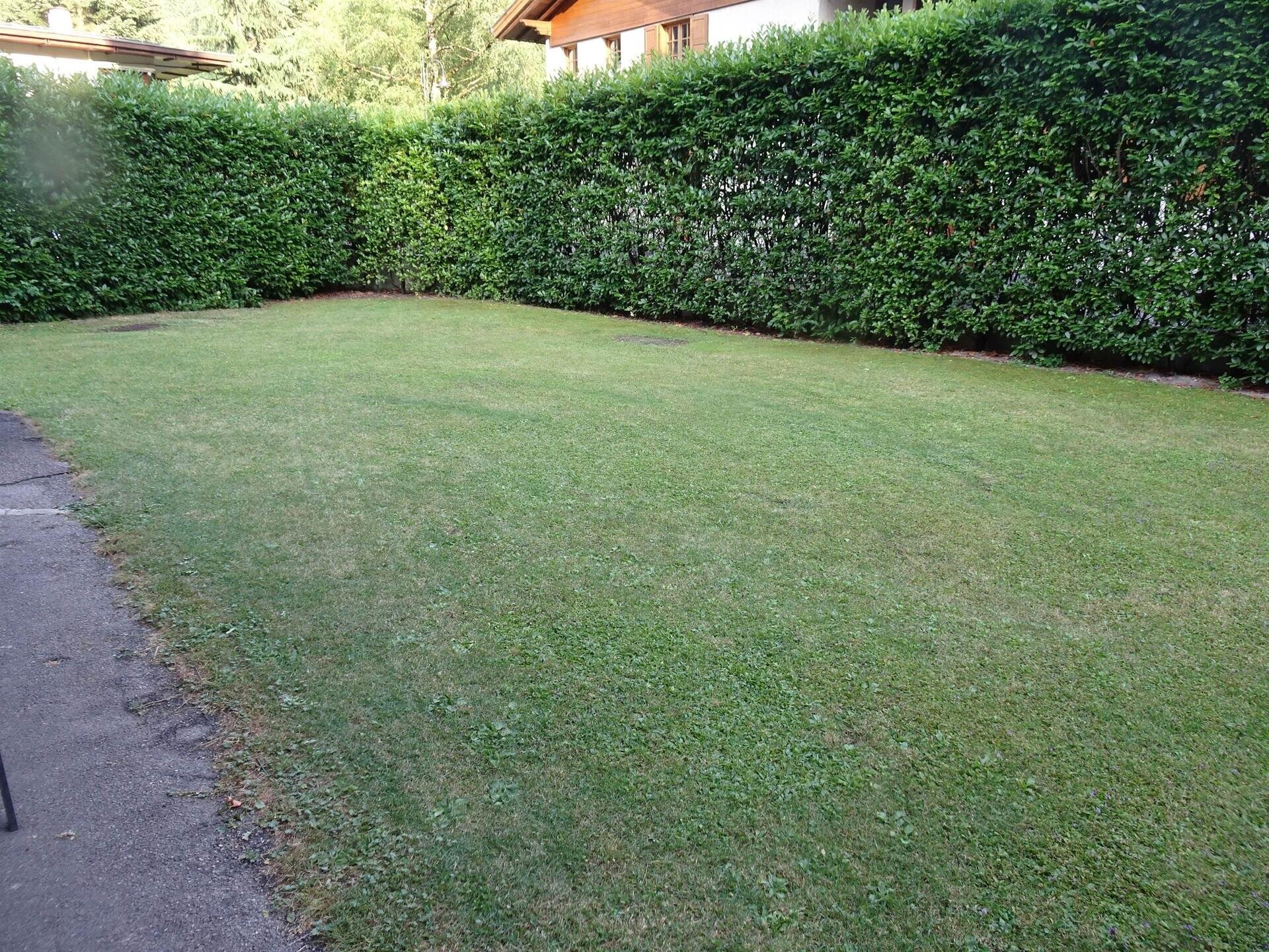 Il giardino