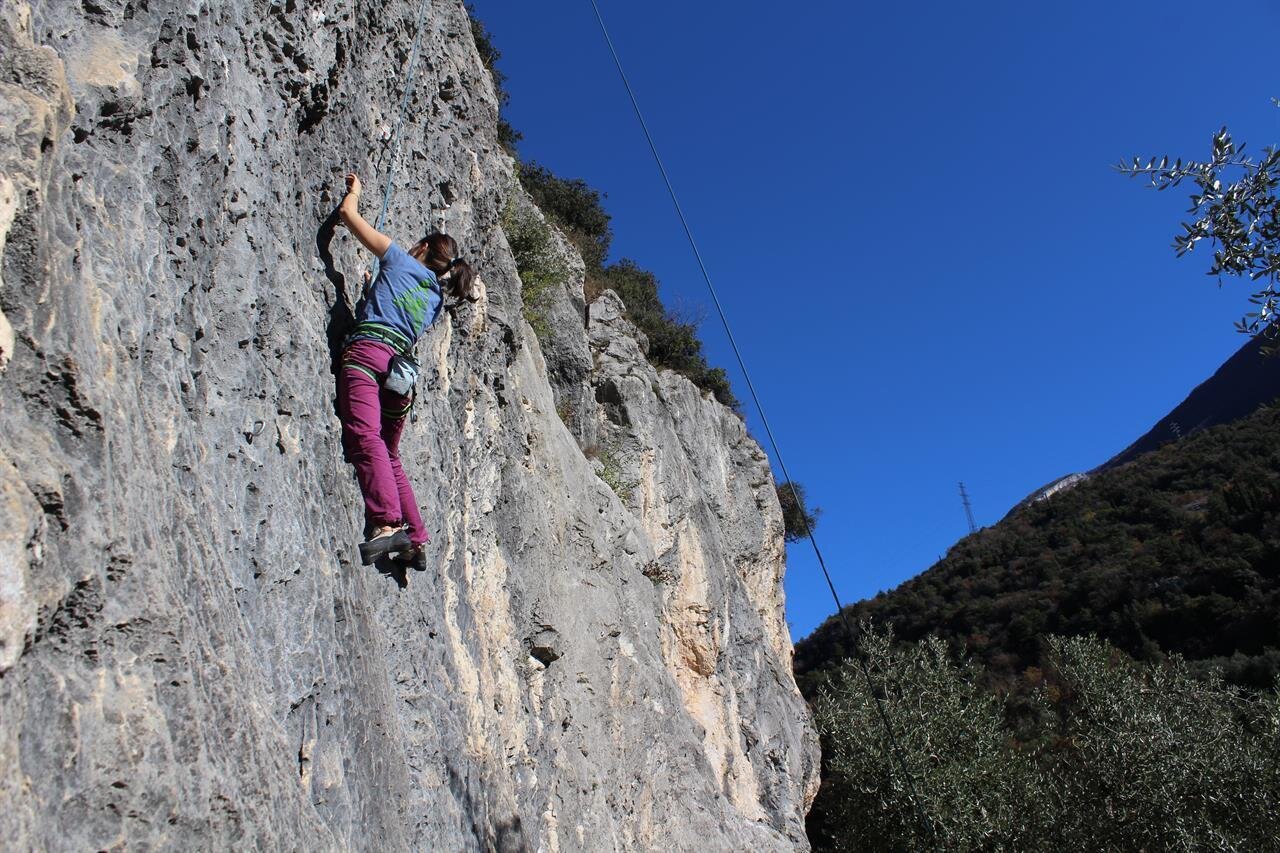 Images Trn 1 431c2fdd Fc6d 4581 Ab98 D67f7bea0d00 99 Image