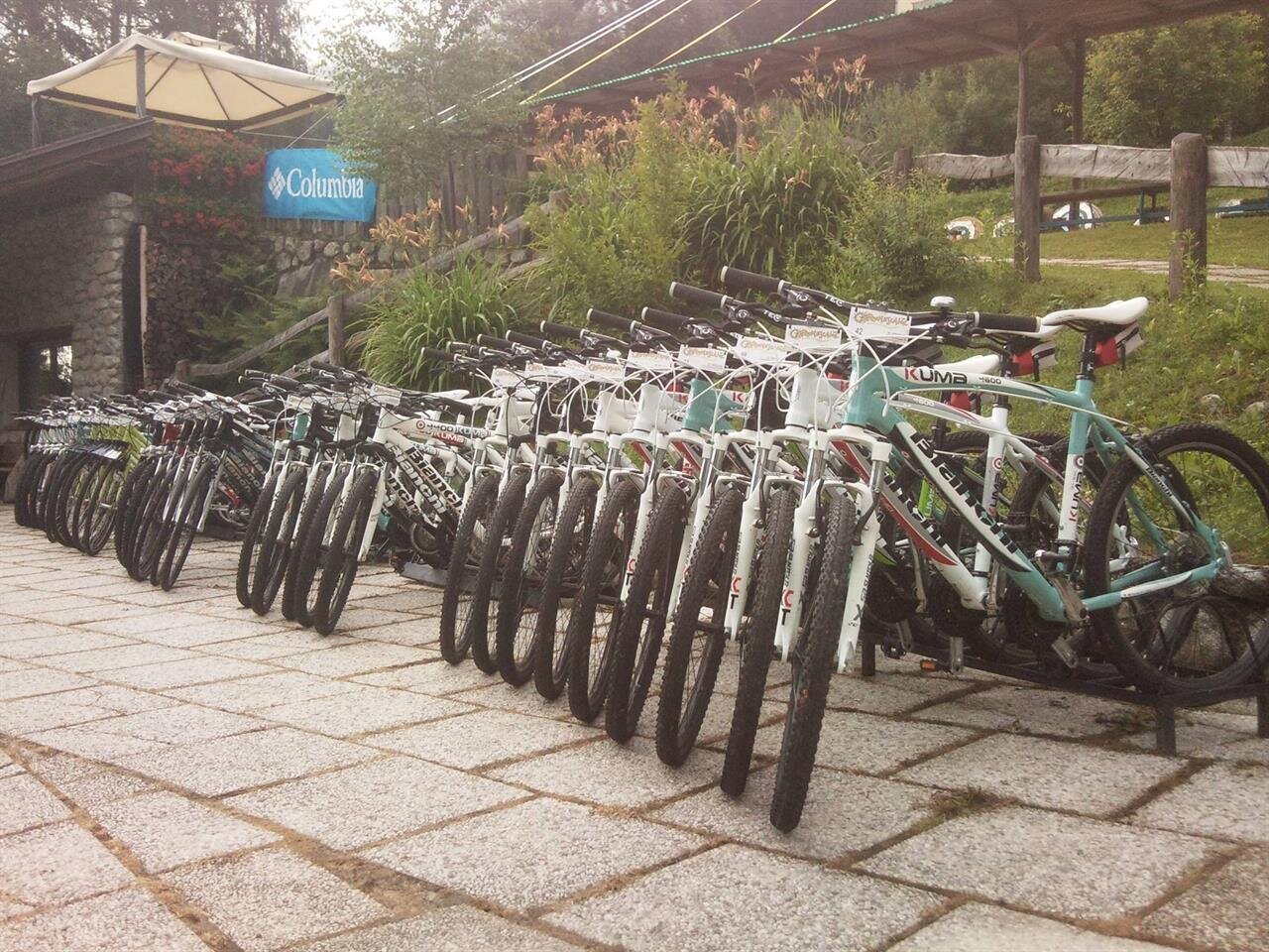 Images Trn 1 Bb655835 8553 445f B59d Eac6c9f83151 99 Image