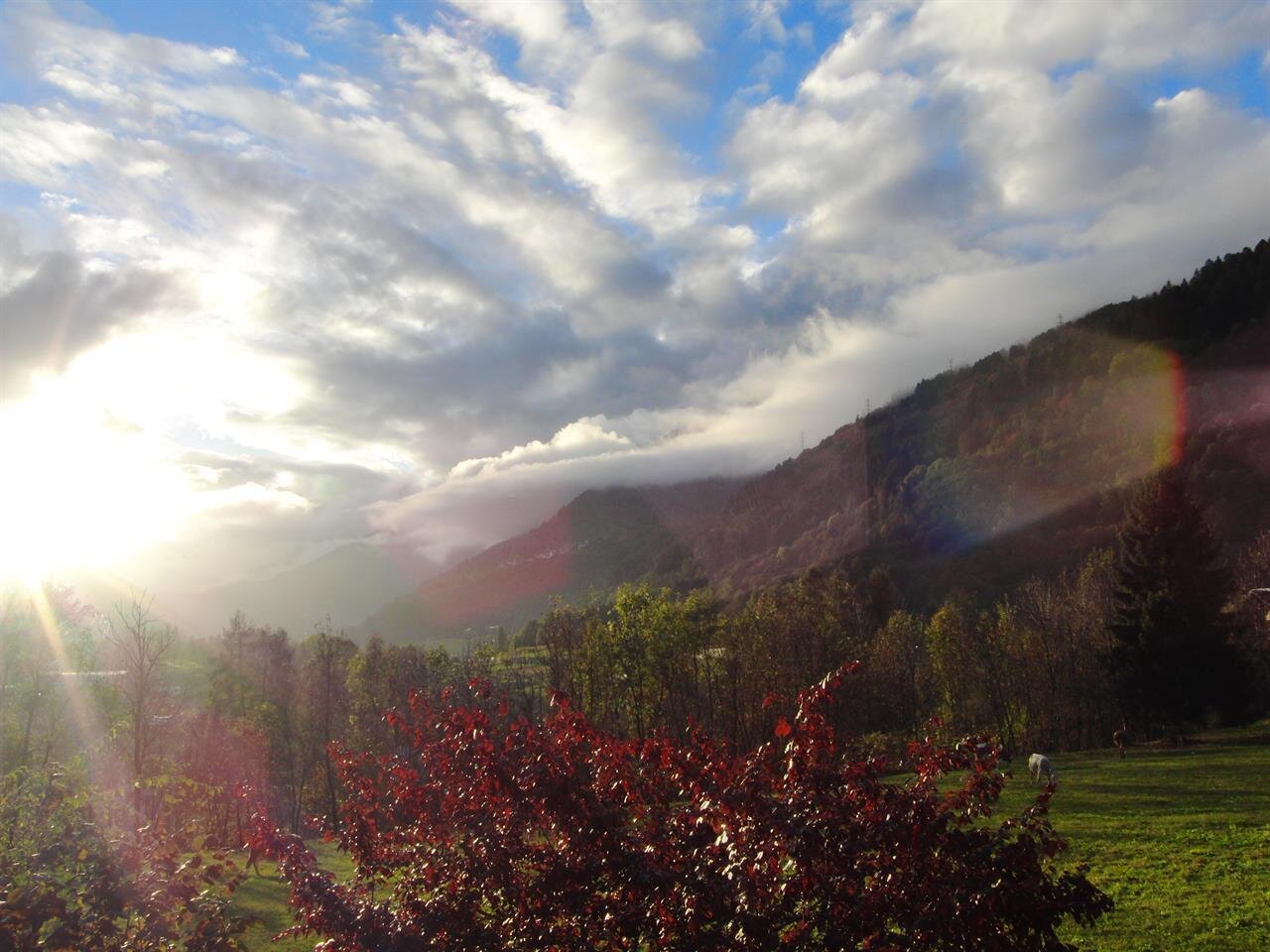 Images Trn 1 Dde1594a B60f 4197 8c20 9893acecb42b 99 Image