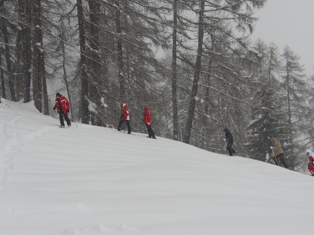 Images Trn 1 5aa00e36 90b6 4212 85bc A9a18842529f 99 Image