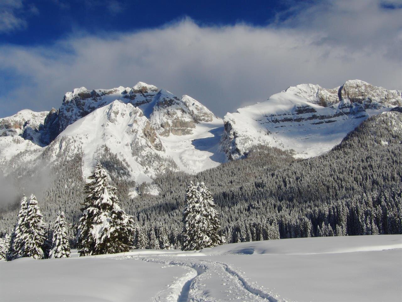 Images Trn 1 42902ac7 B6a9 45cc 87f8 167fb0d95066 99 Image