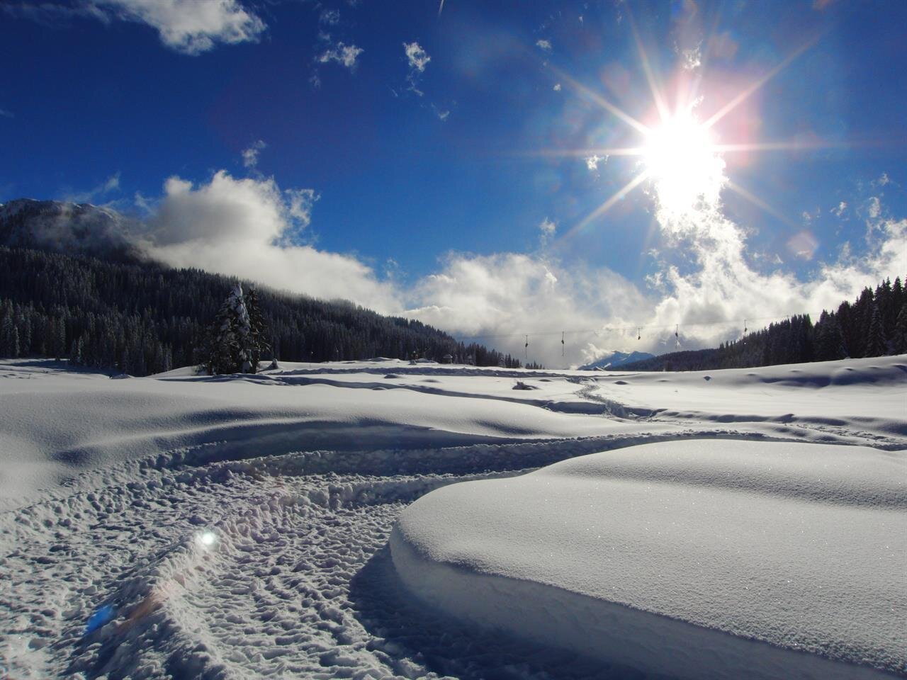 Images Trn 1 308e49a6 9f16 4e2a 8d90 Fc2ff6e2be62 99 Image