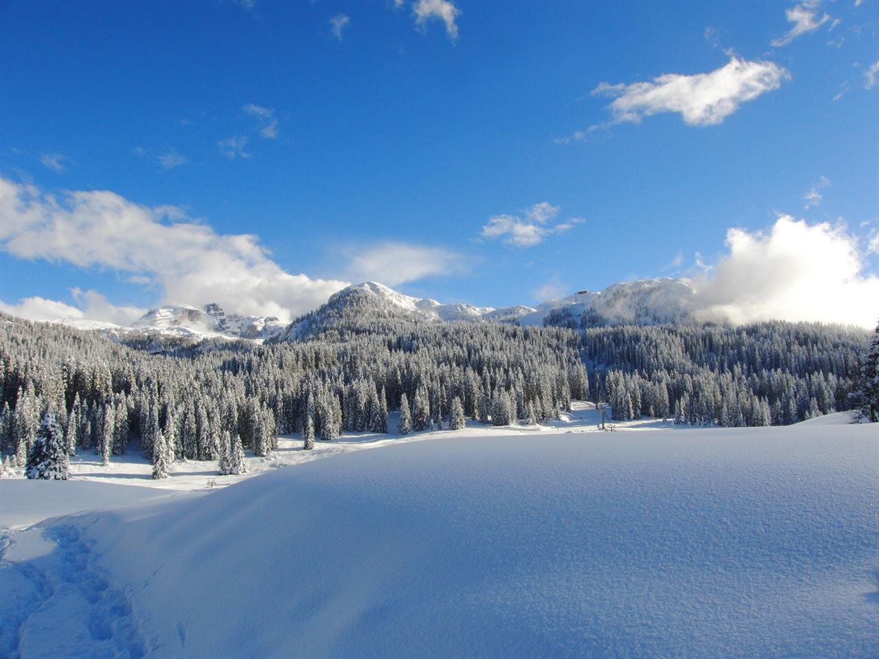 Images Trn 1 0f5568f2 62b0 4d19 881f Df3a5d9223ea 99 Image