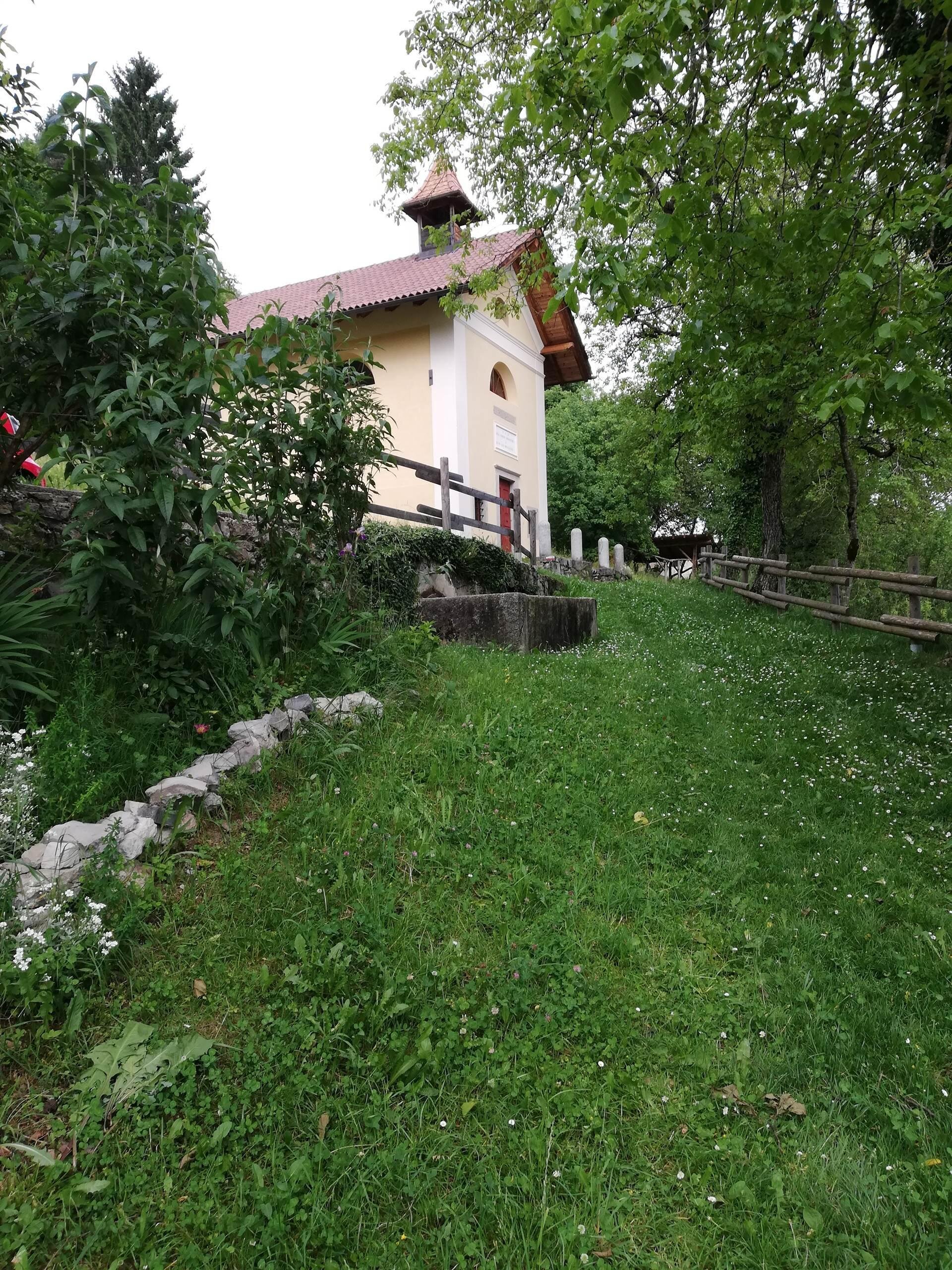 Camere Cerana 001 (3)