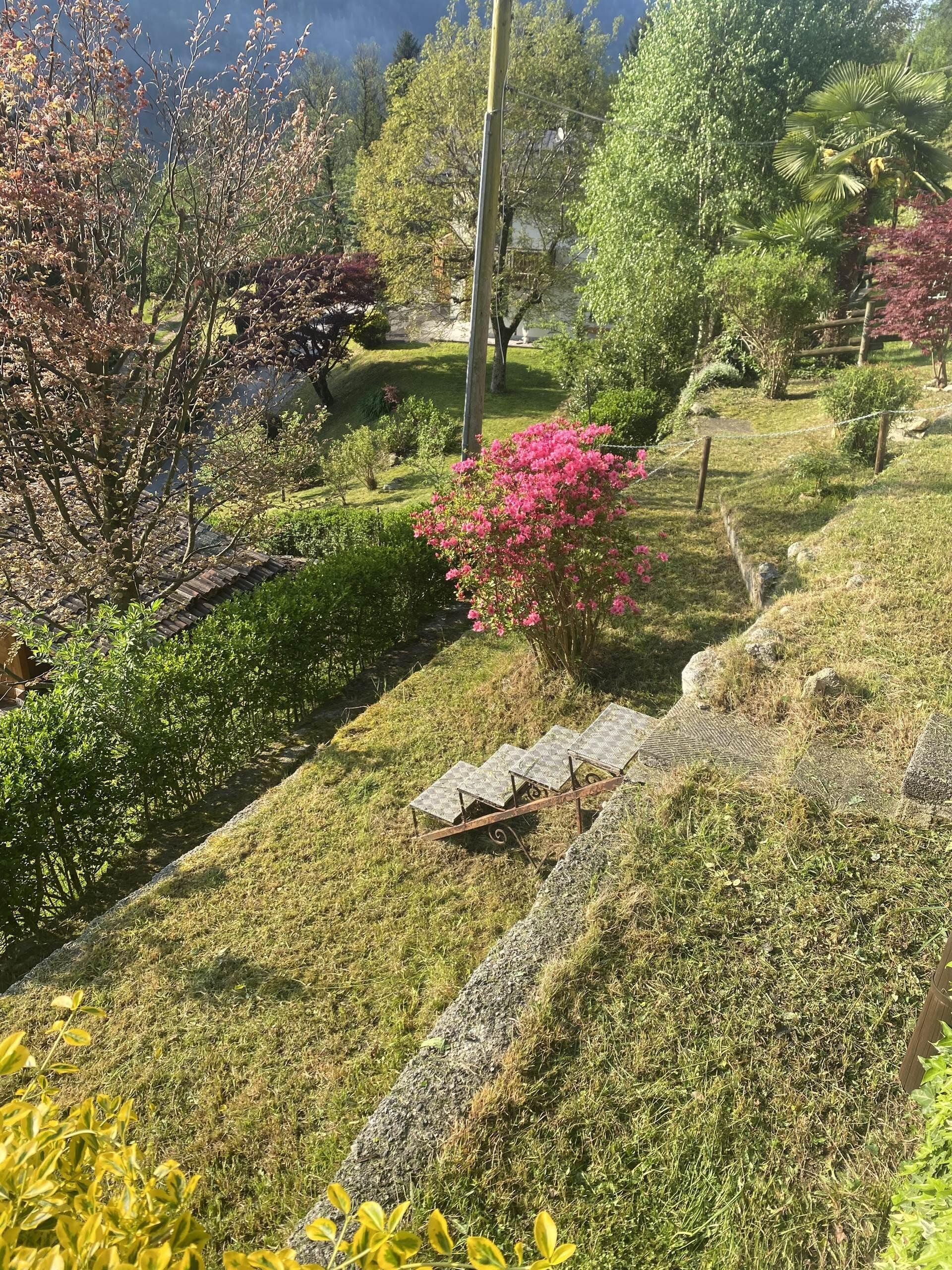giardino2