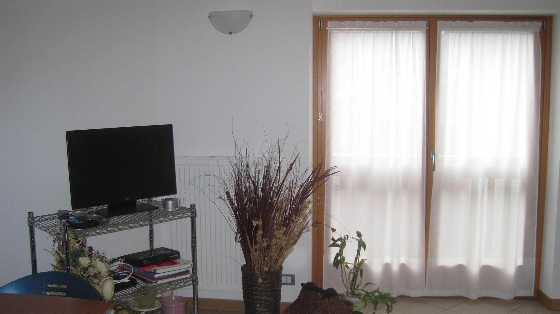 andreolli remo 10