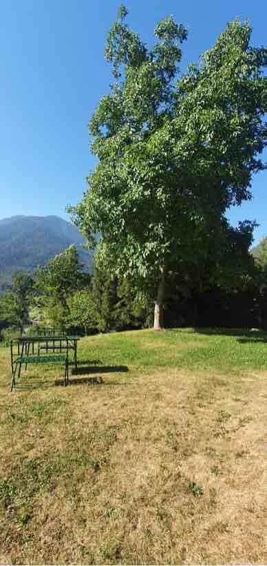 giardino 1