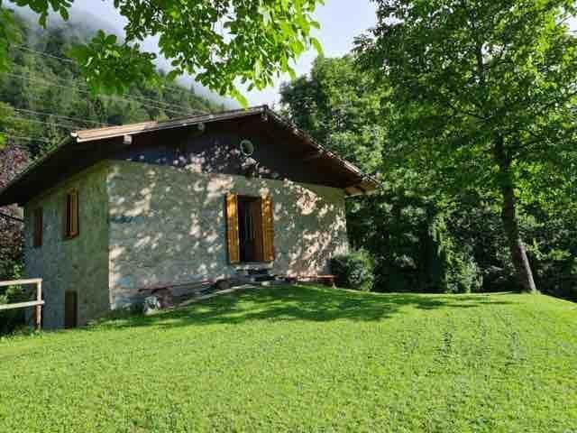 giardino 2