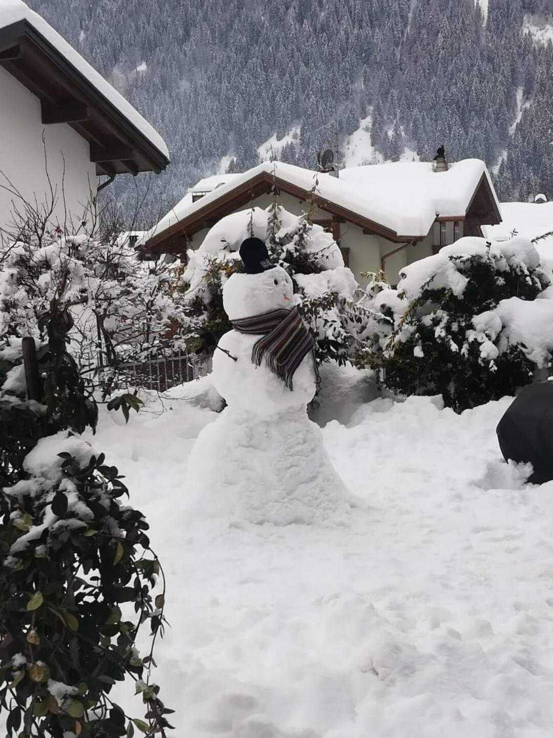 37 0 pupazzo inverno20bis