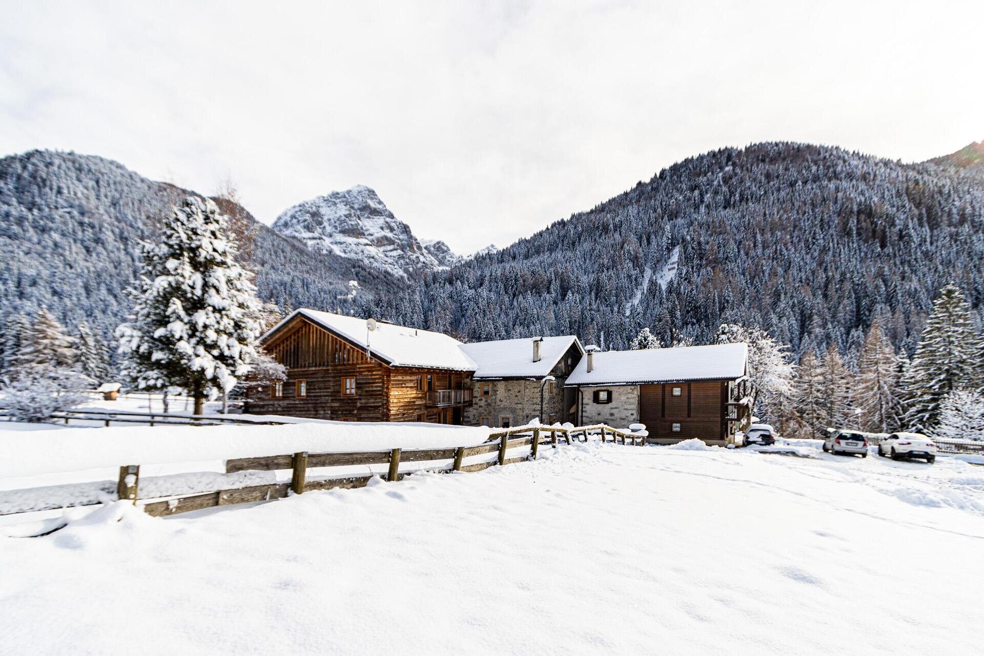 APPARTAMENTO NIDO DEL BRENTA