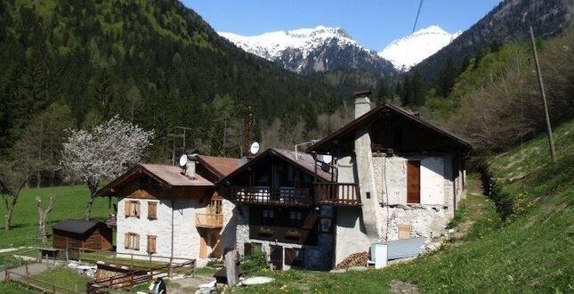 Images Trn 1 88a8d620 9636 41b0 Adb9 77f6fa97bad1 99 Image