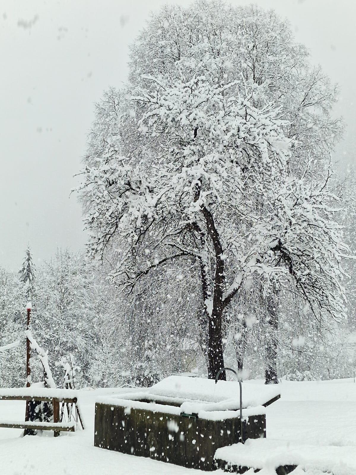 Images Trn 1 D1028f32 E906 40e3 B5b1 76d6251e3e21 99 Image