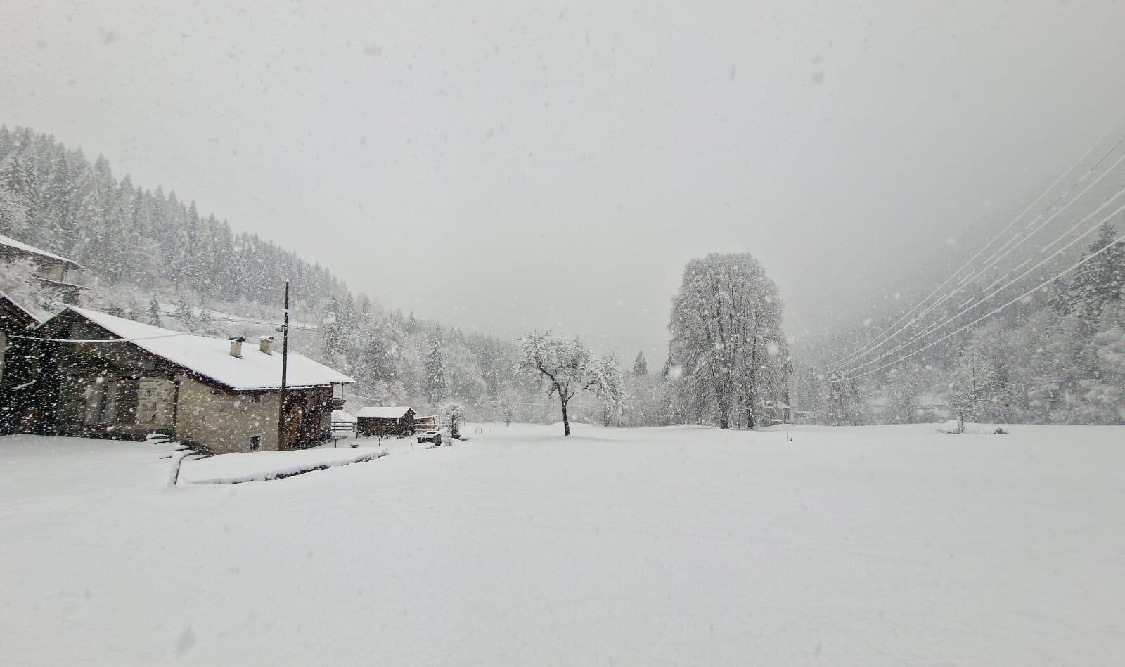 Images Trn 1 B536c642 850c 41fe A0b6 3391ee348adc 99 Image