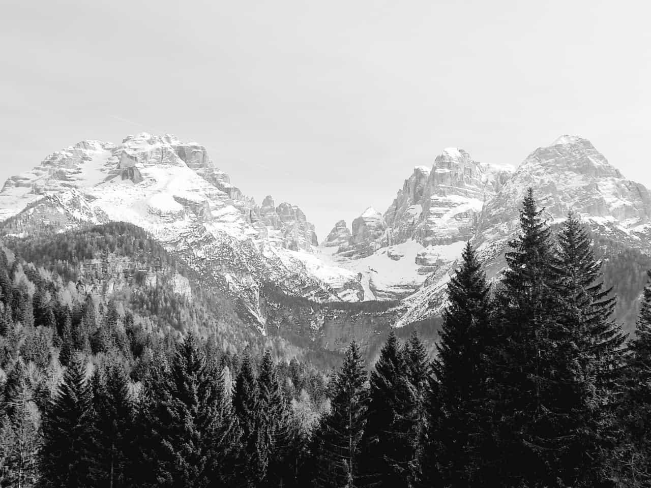 cd9ad22c-0c60-4645-9a33-c0d282cb0a5f