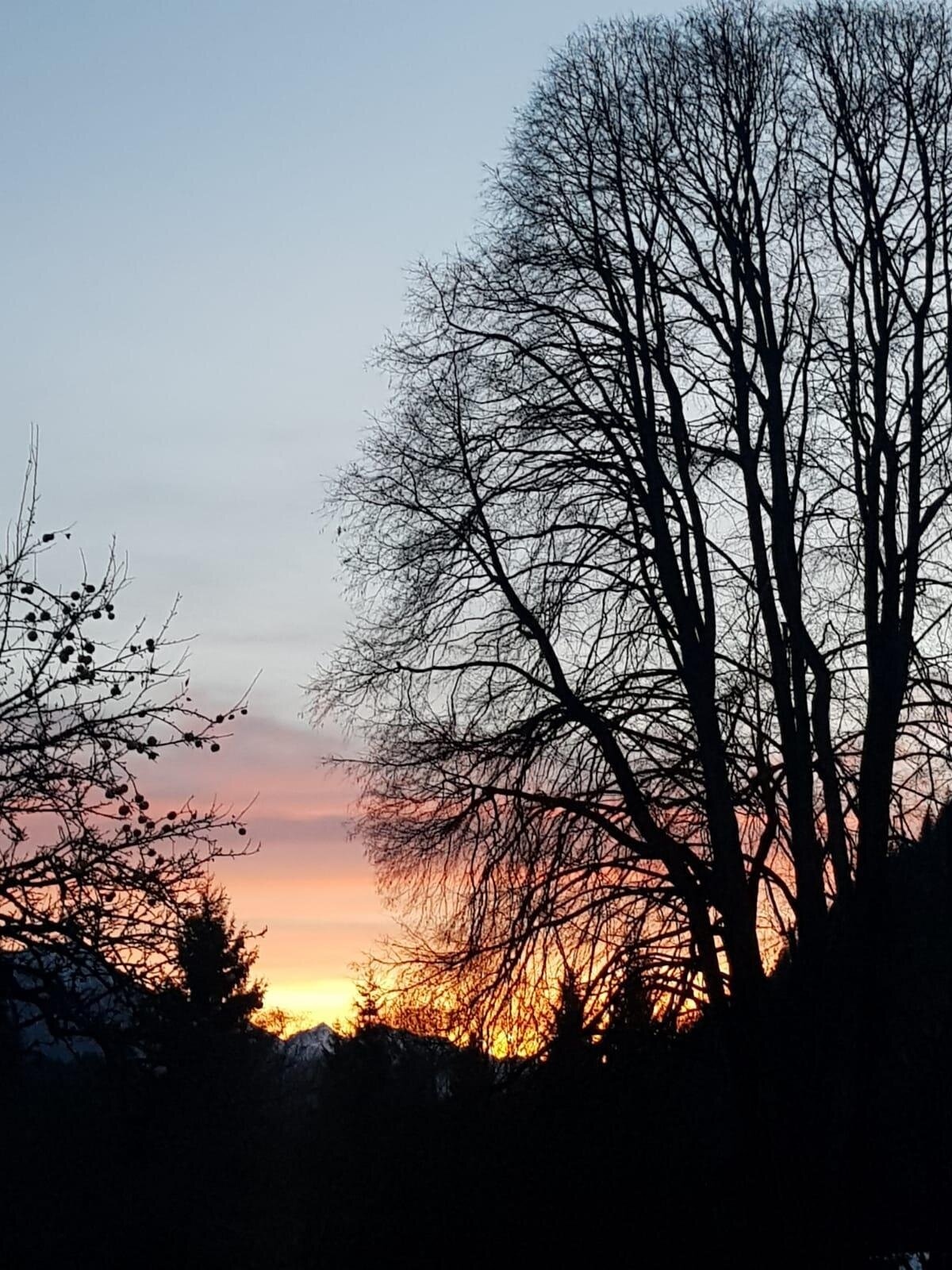 Images Trn 1 89f47e48 0493 45a8 A00a 90f91433dc0b 99 Image