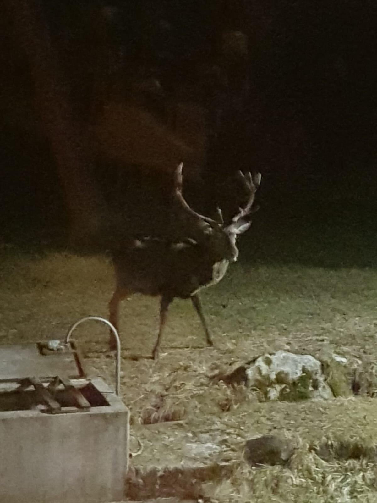 Images Trn 1 F1a10b46 69b3 45f9 B3ea F810e8f22d30 99 Image