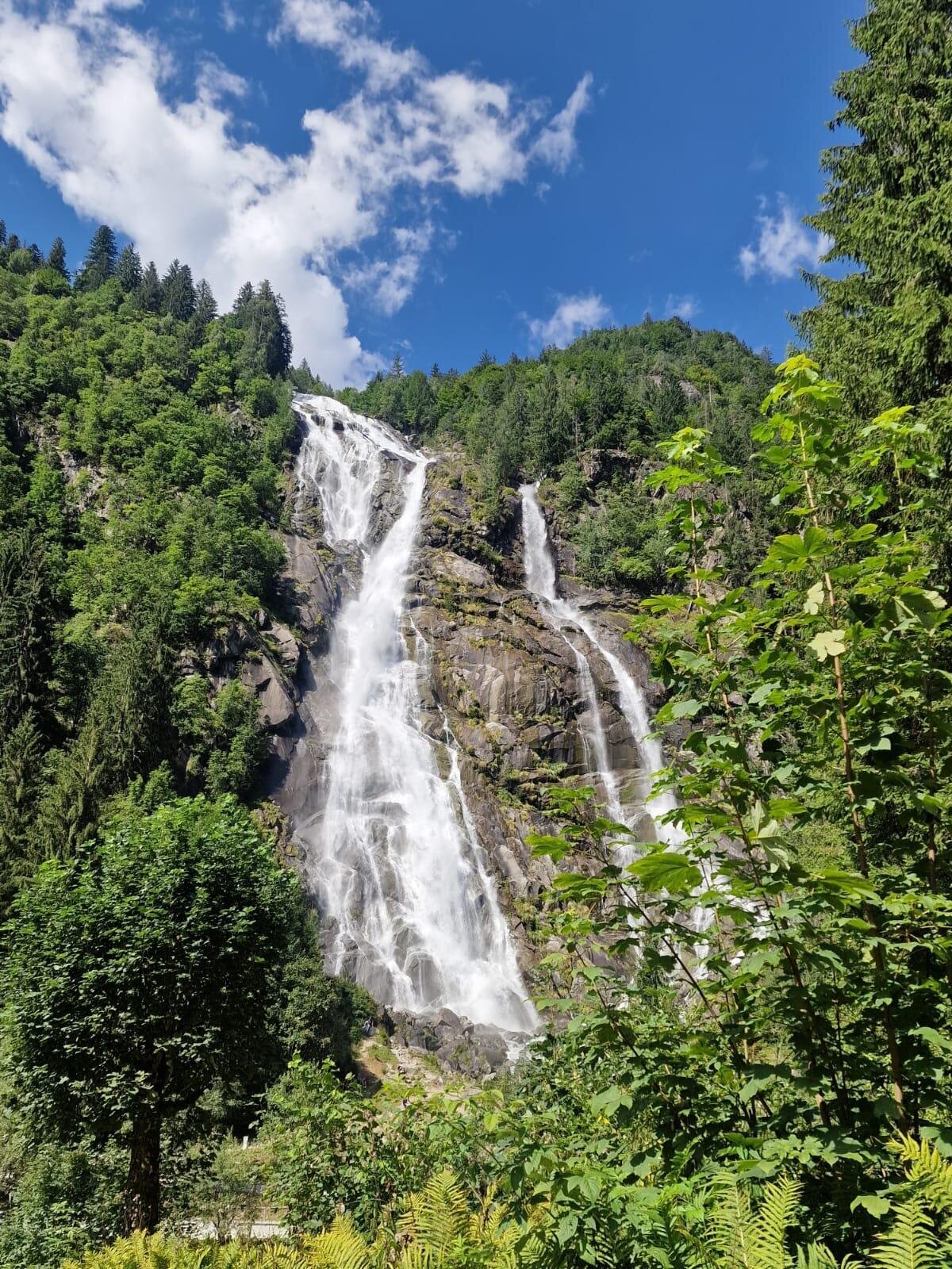 Images Trn 1 66daf835 F2e4 40dc A81d 7b48ab0016b7 99 Image