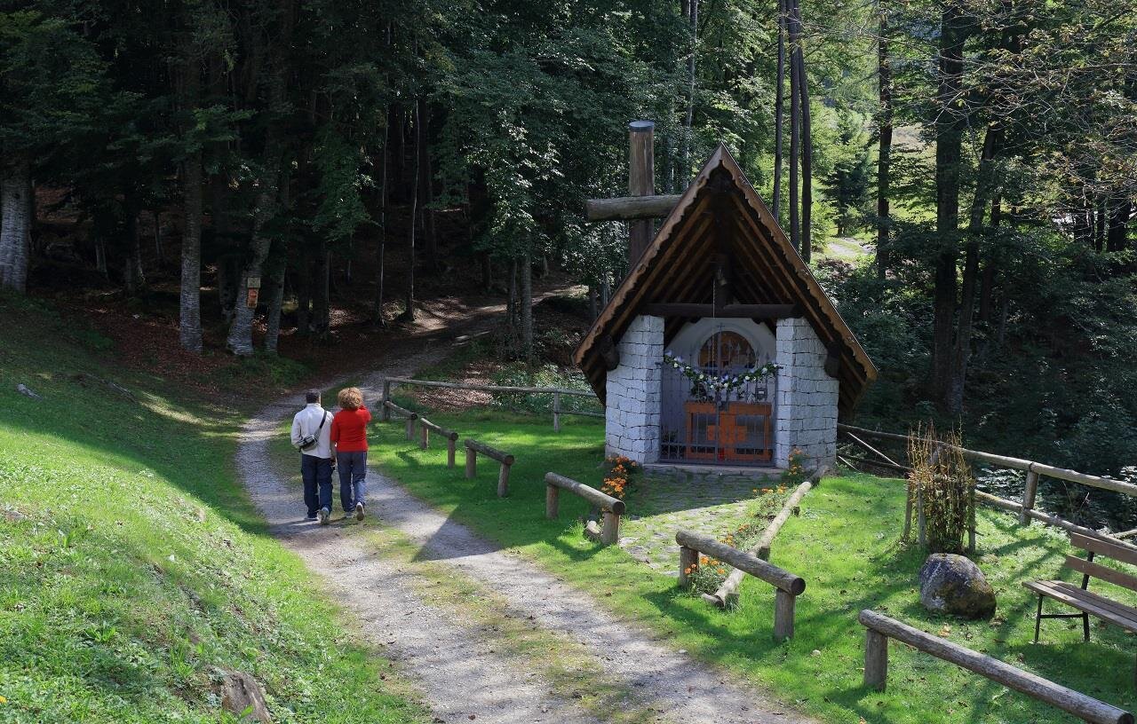 passeggiata lupi di toscana