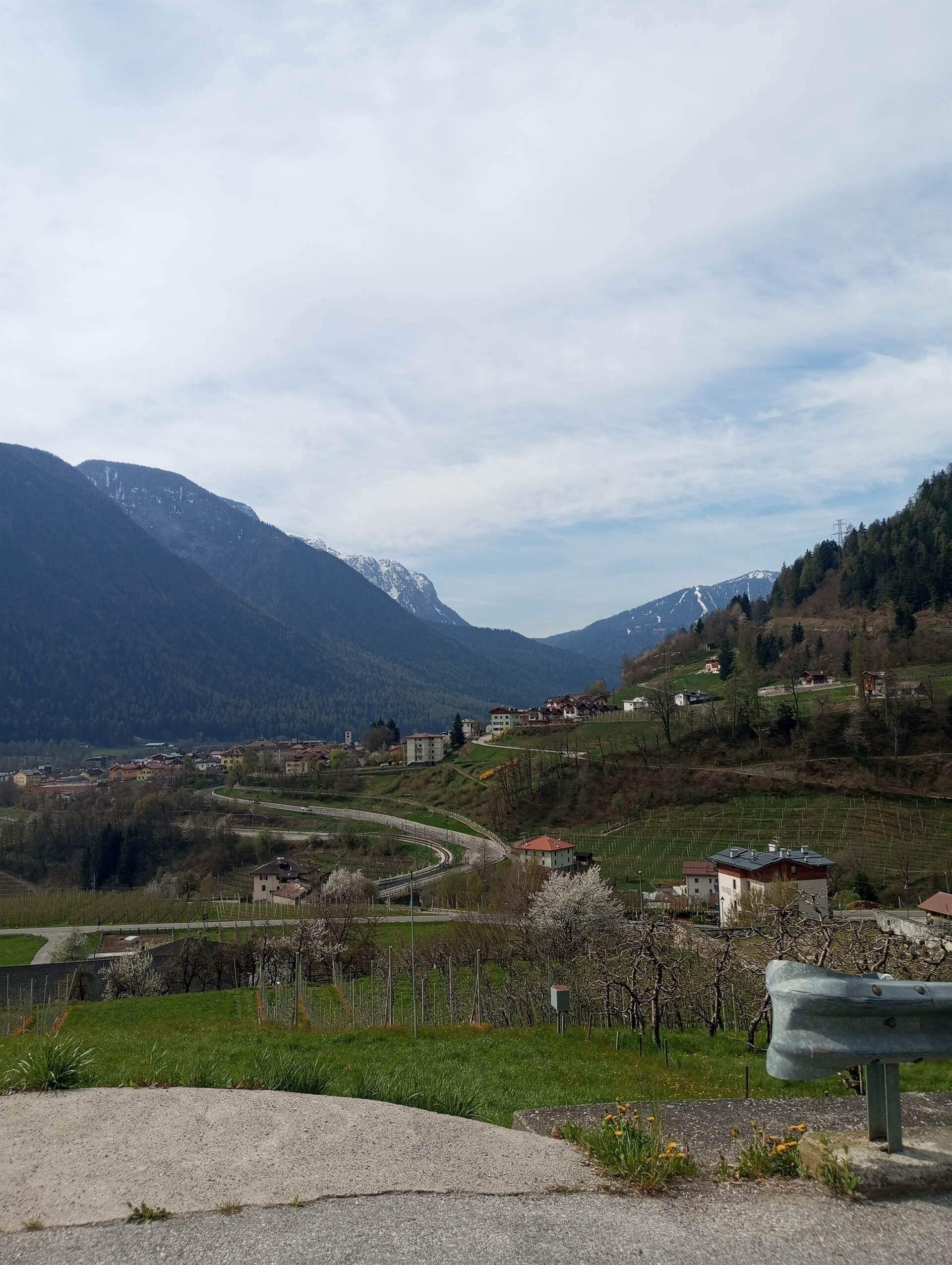 IMG_20250409_104557