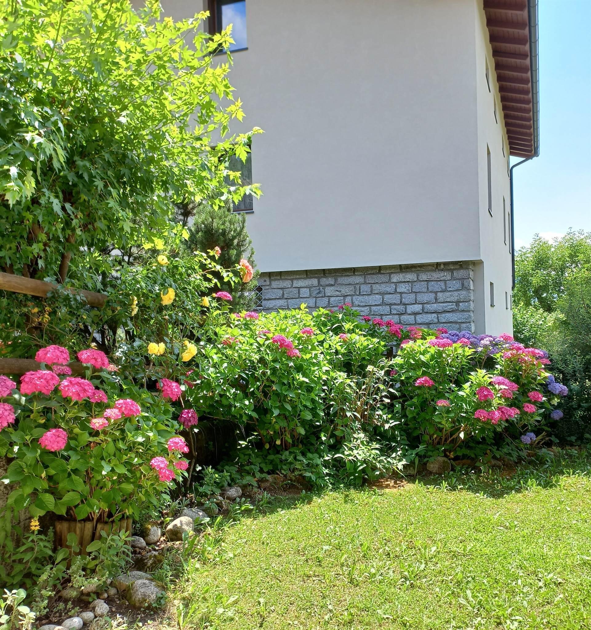 Images Trn 1 E595eef1 D8df 4210 9d7c 753965328ead 99 Image