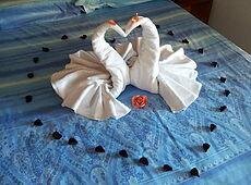 Images Trn 1 0ce20745 6226 4a66 Ac4a B31fa61197c3 99 Image
