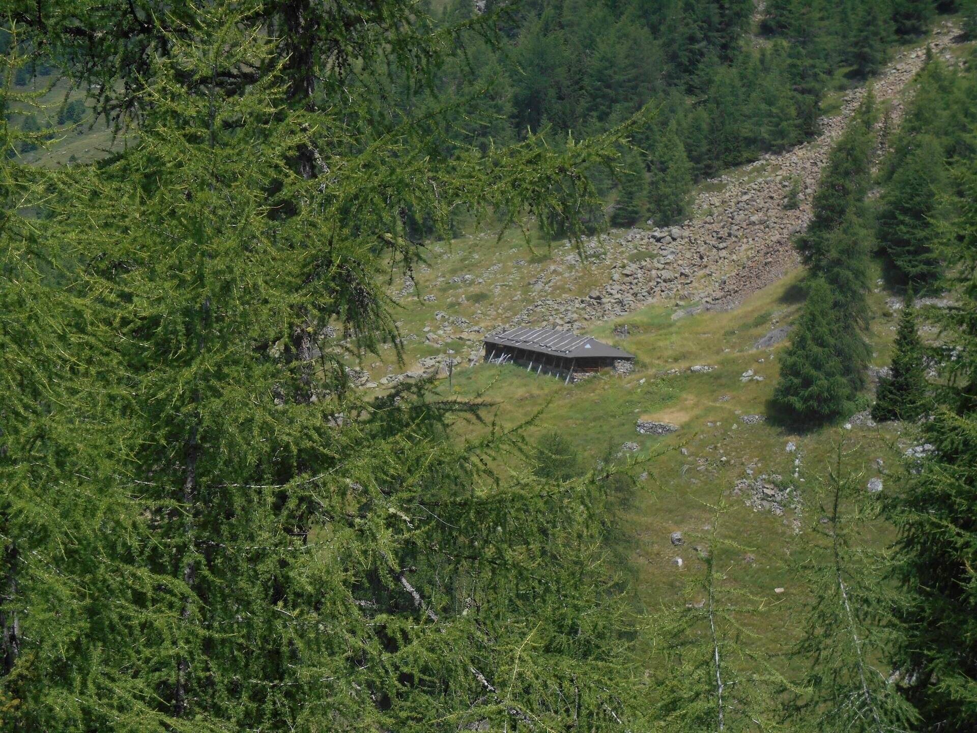 Residence Bonetti - Malga Zoccolo Alta