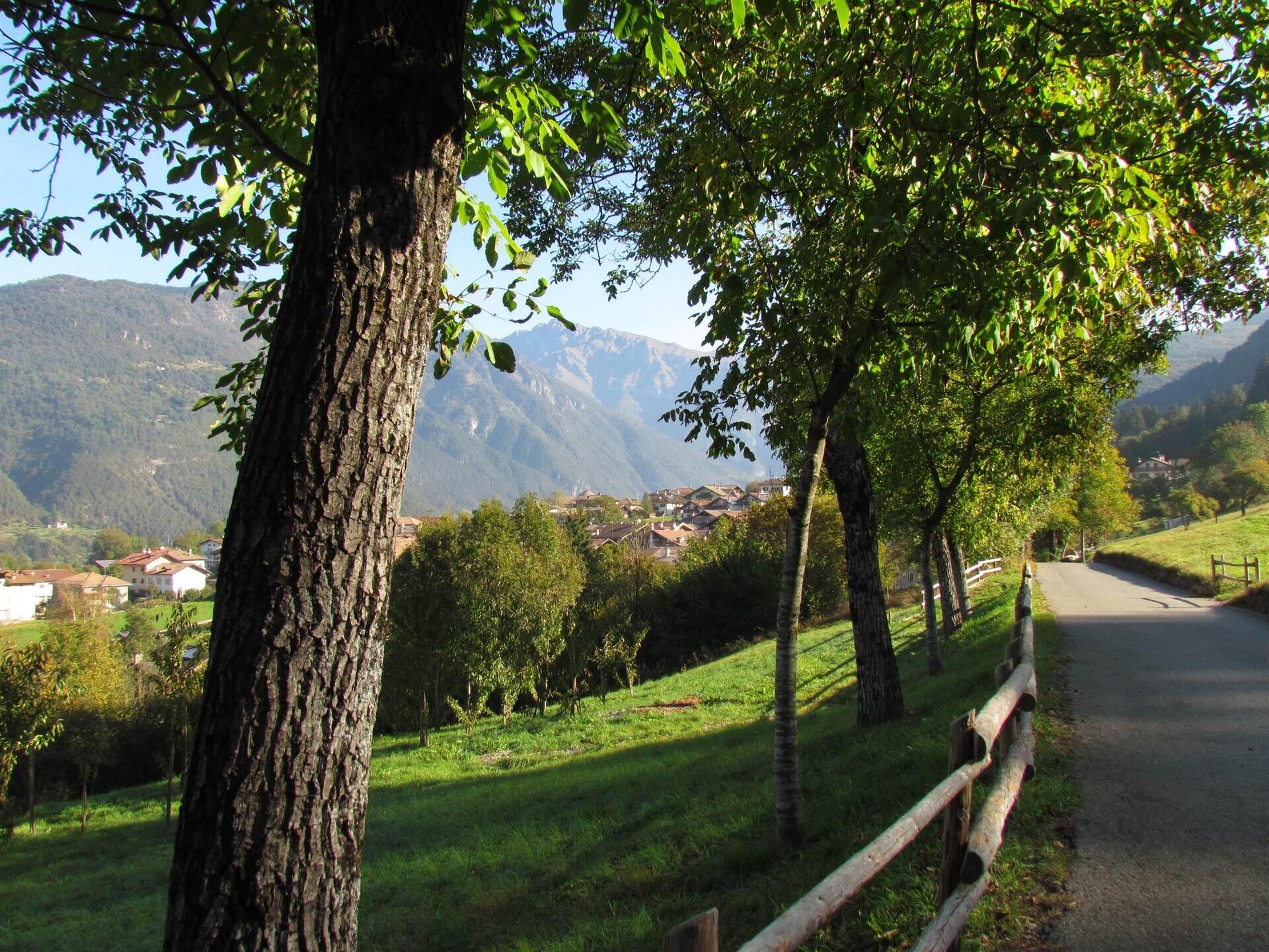 Zuclo camminata