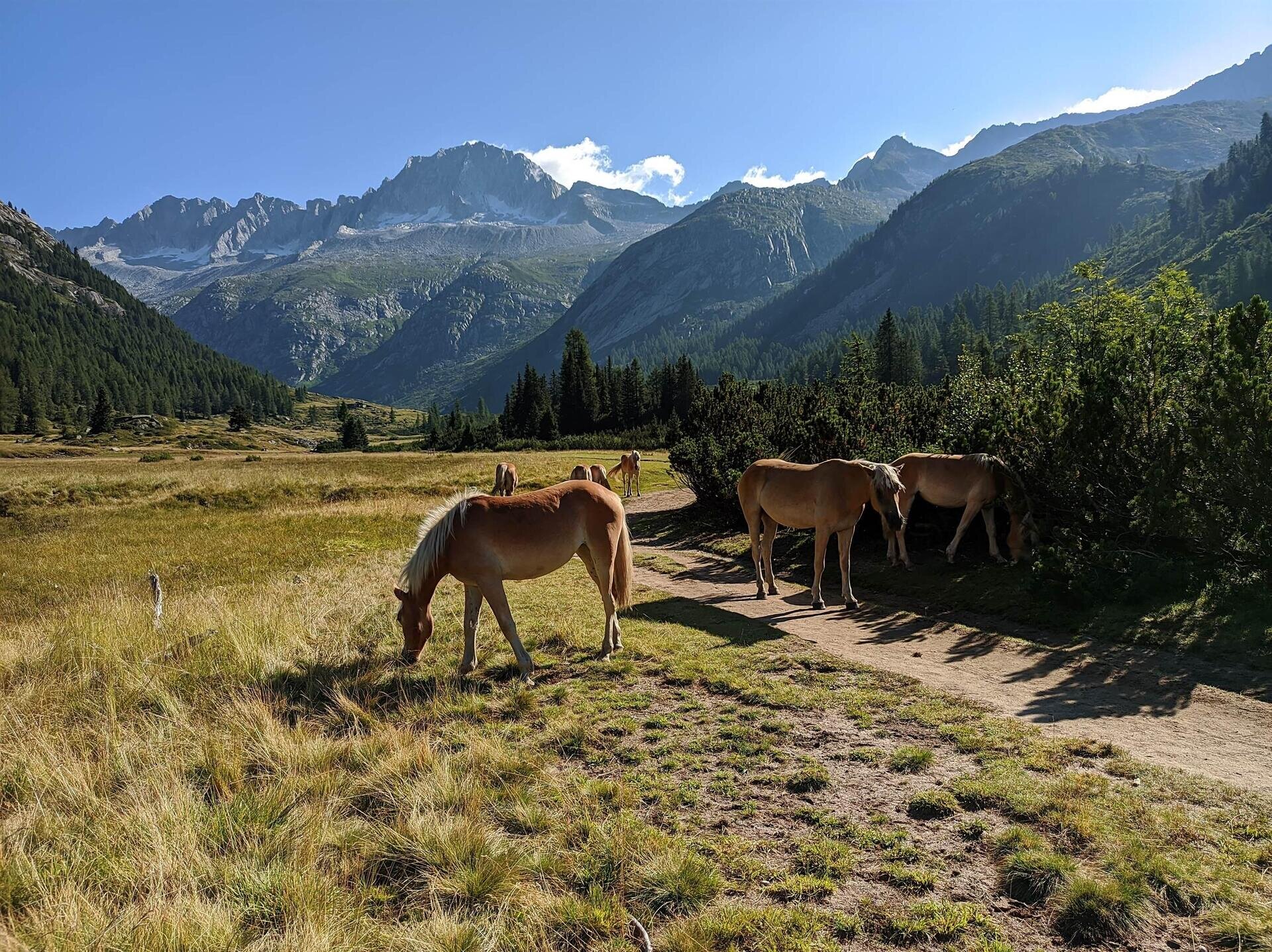 Val di Fumo