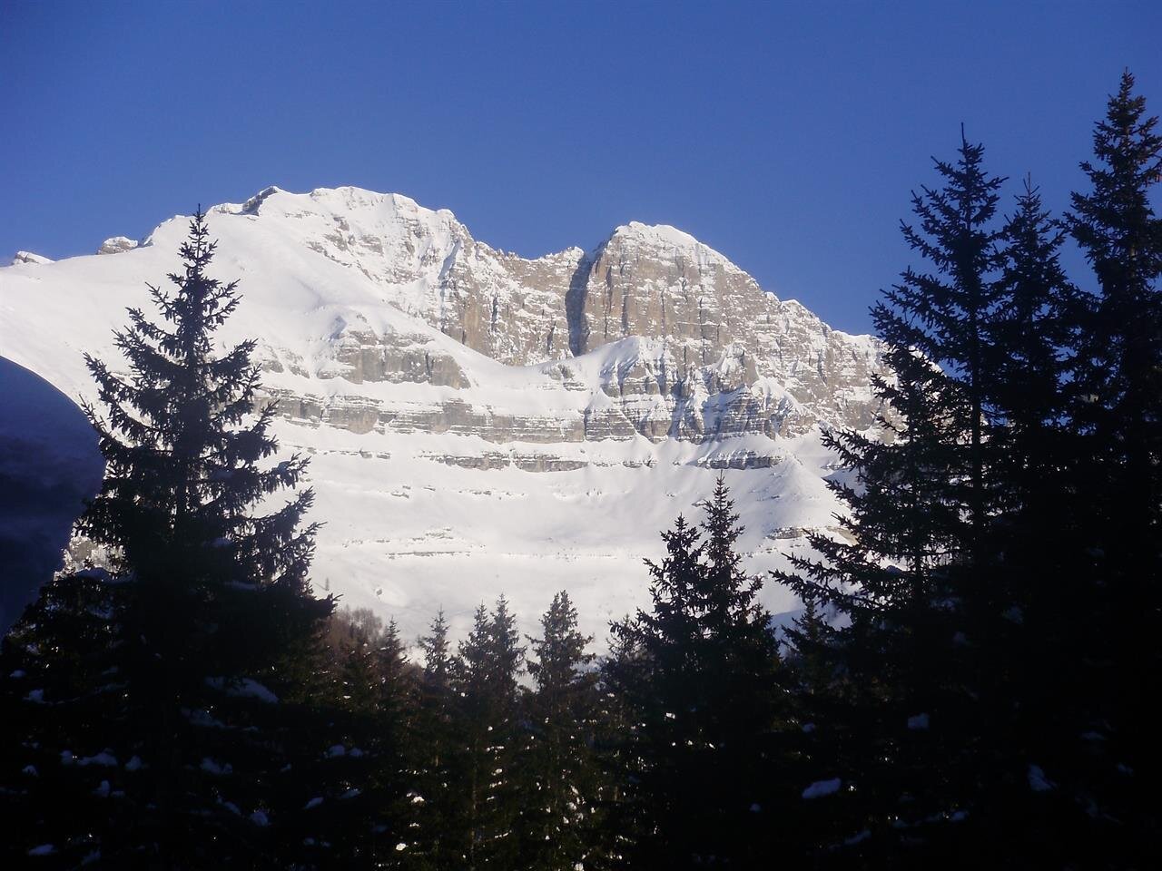 PANORAMA