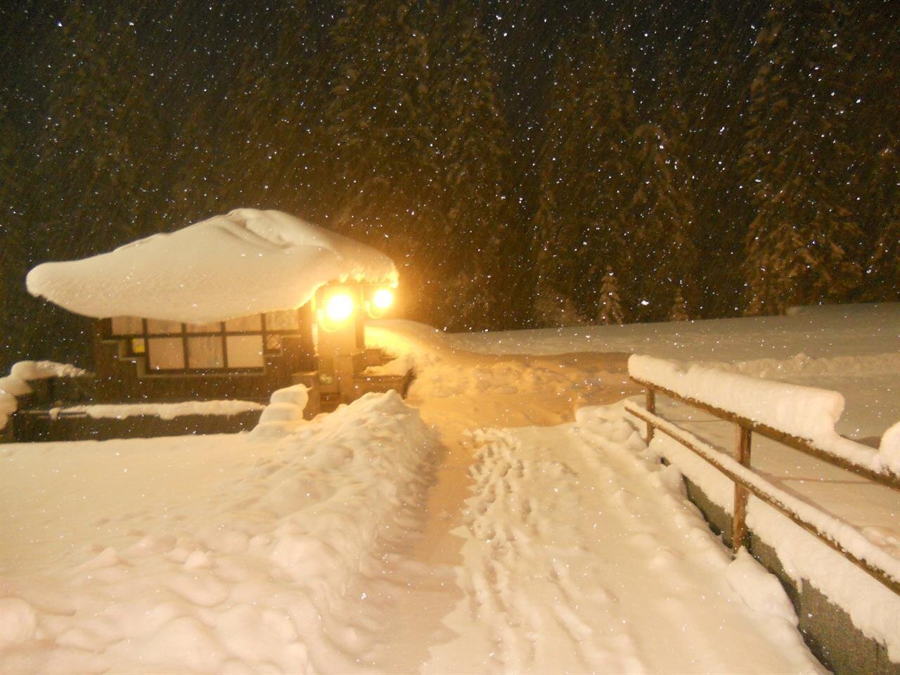 SCENDE LA NEVE