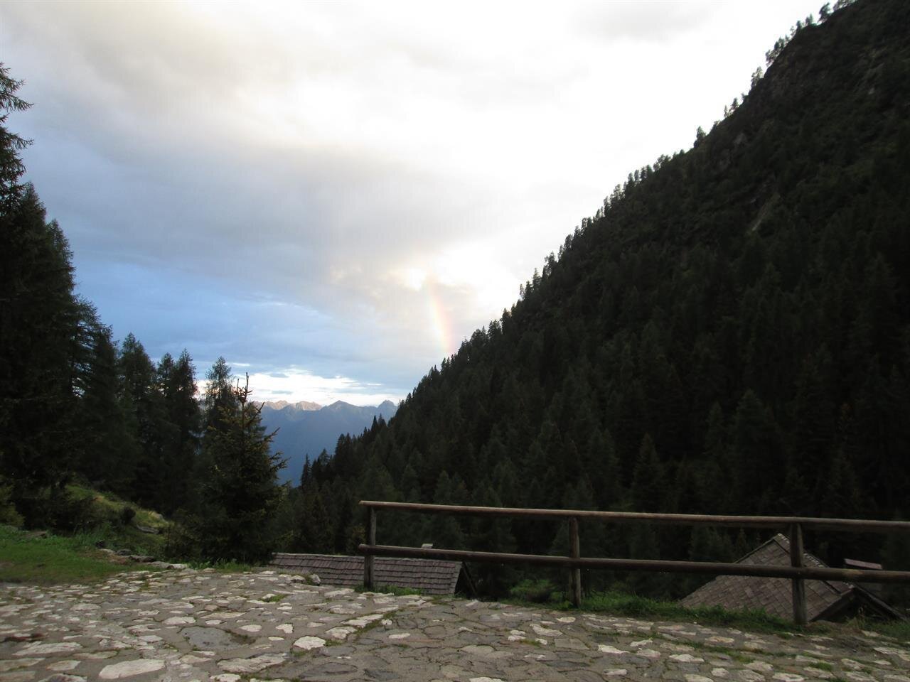 IMG_0031