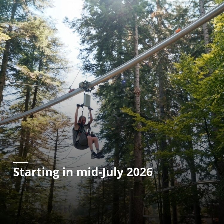 BannerENzipline