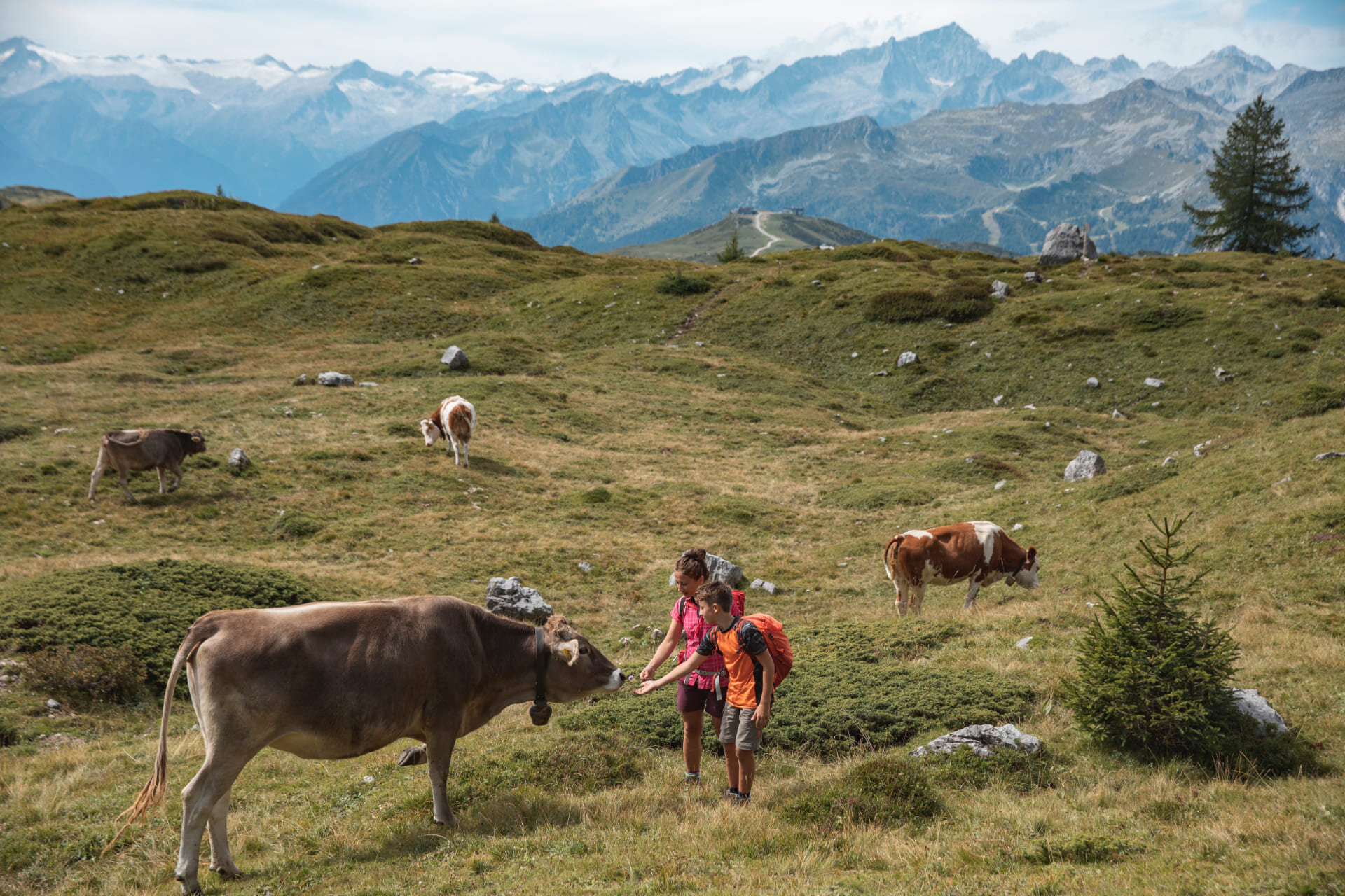 Routes - The Emperor's Tour - Madonna di Campiglio