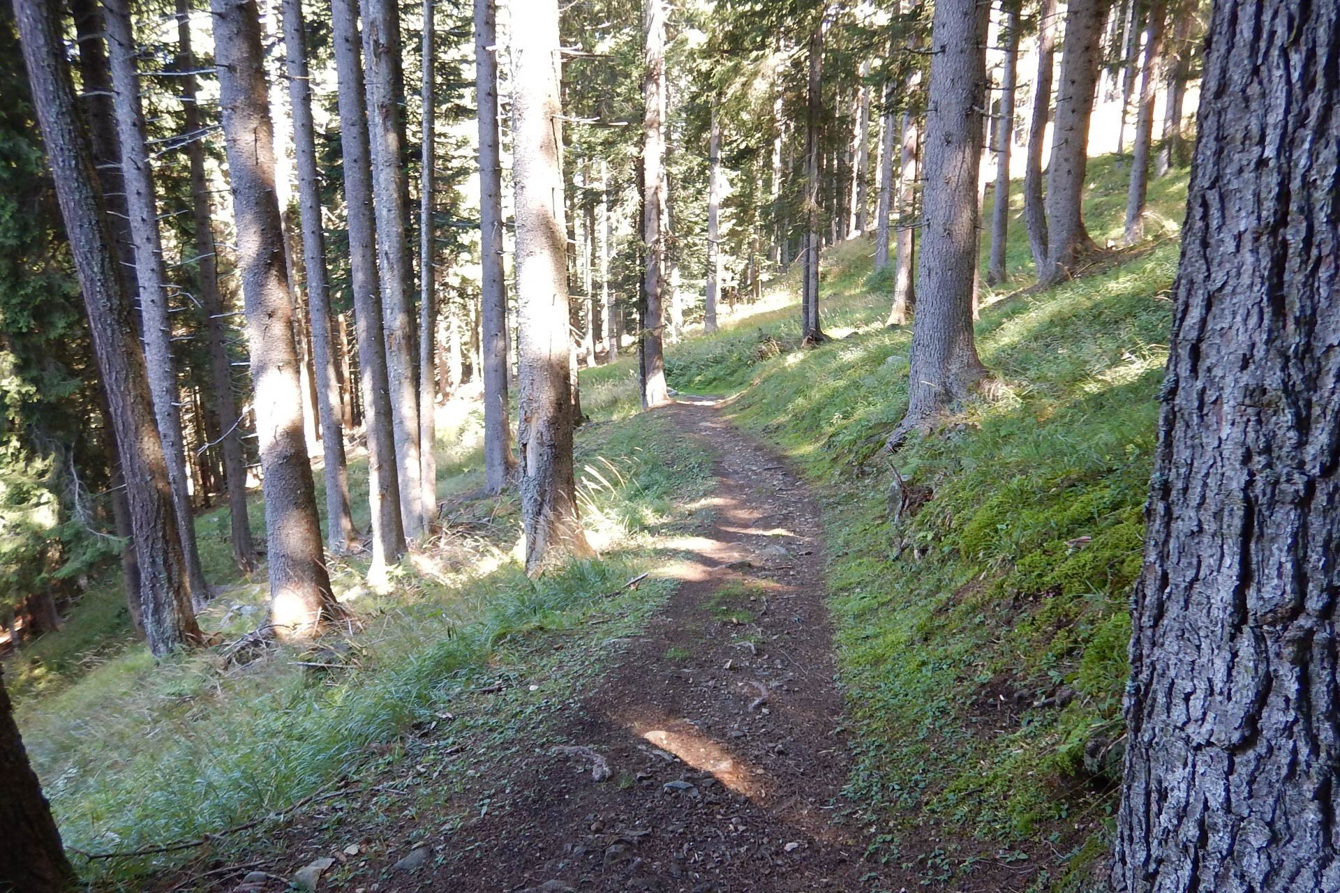 Itinerario Trail Circina n°970