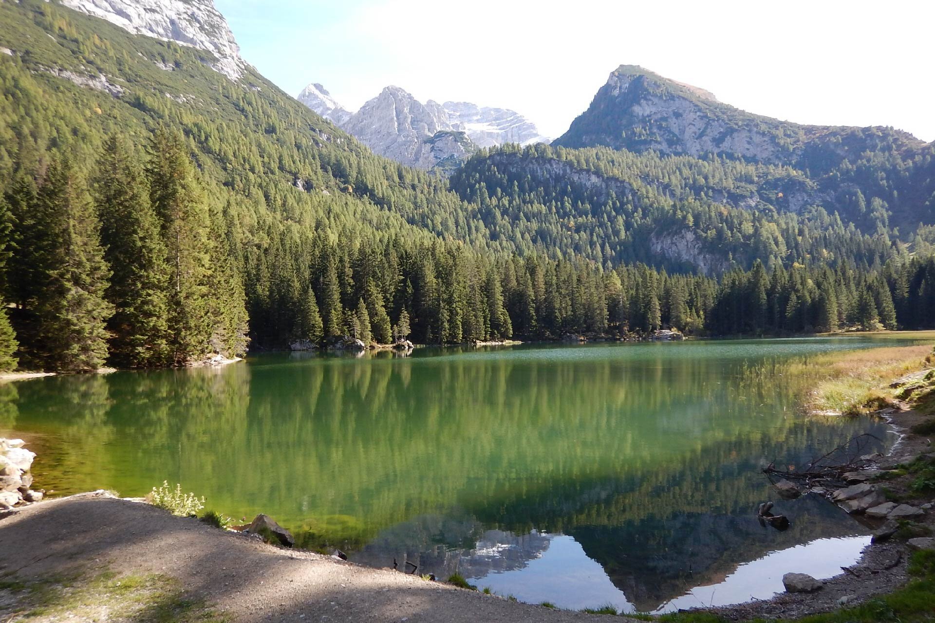 Itinerario Trail Malga Movlina n°974
