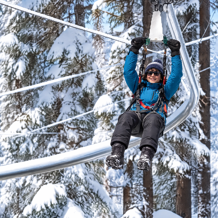 Forest Zipline Inverno