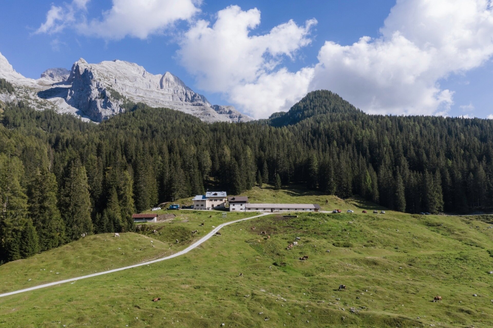 Malga Mondifrà